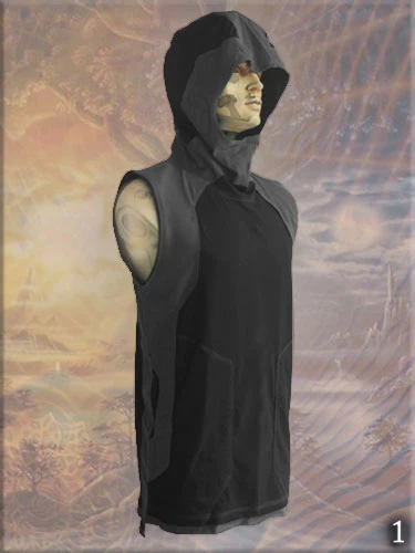 Fusion Hoodie